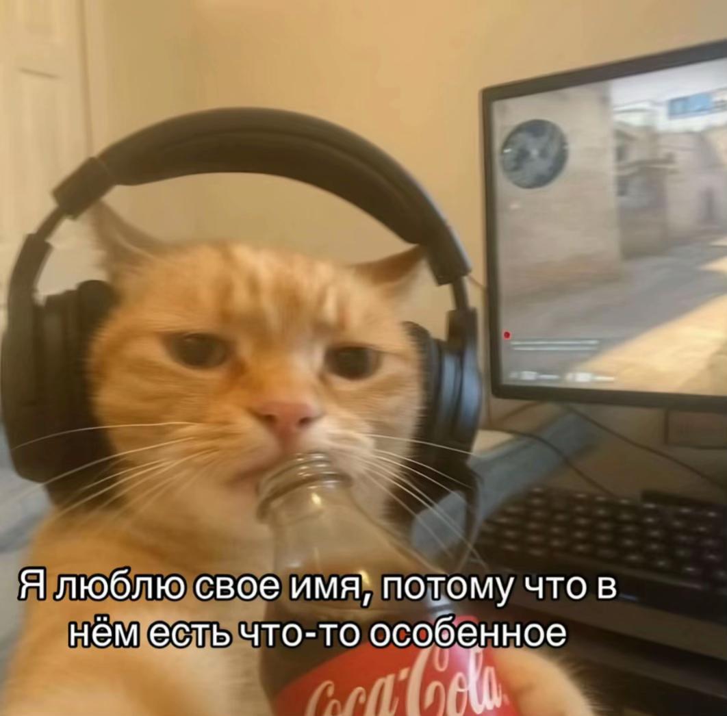 @Лёлька🐈