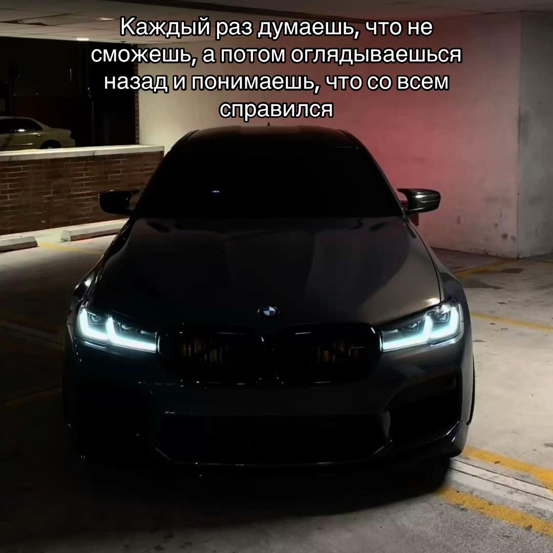 @777_koshka_777_