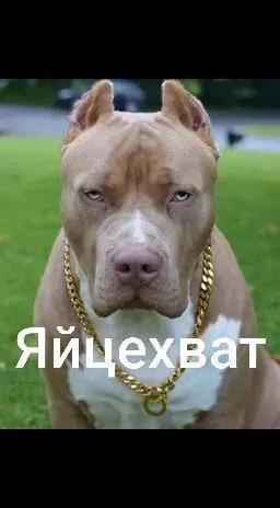 @ДМИТРИЙ РУБИТЬ КРОМСАТЬ