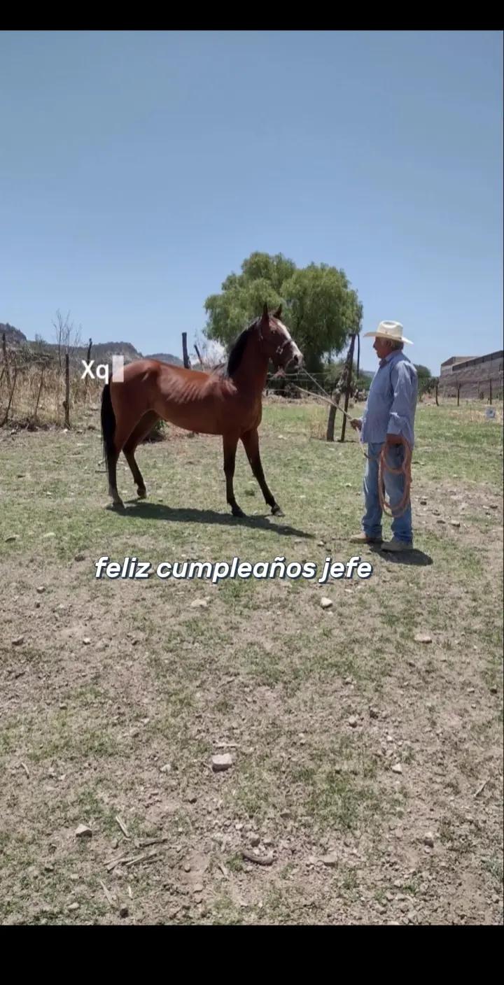 @Nico Herrera