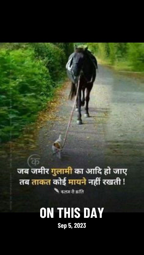 @Jashan10192012🇮🇳🇺🇸🇬🇧🇨🇦