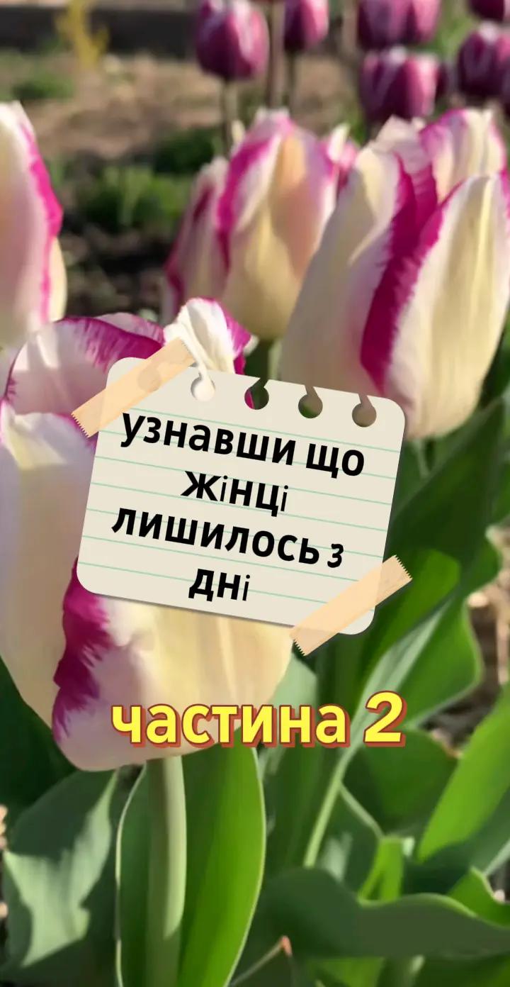 @Життєві історії
