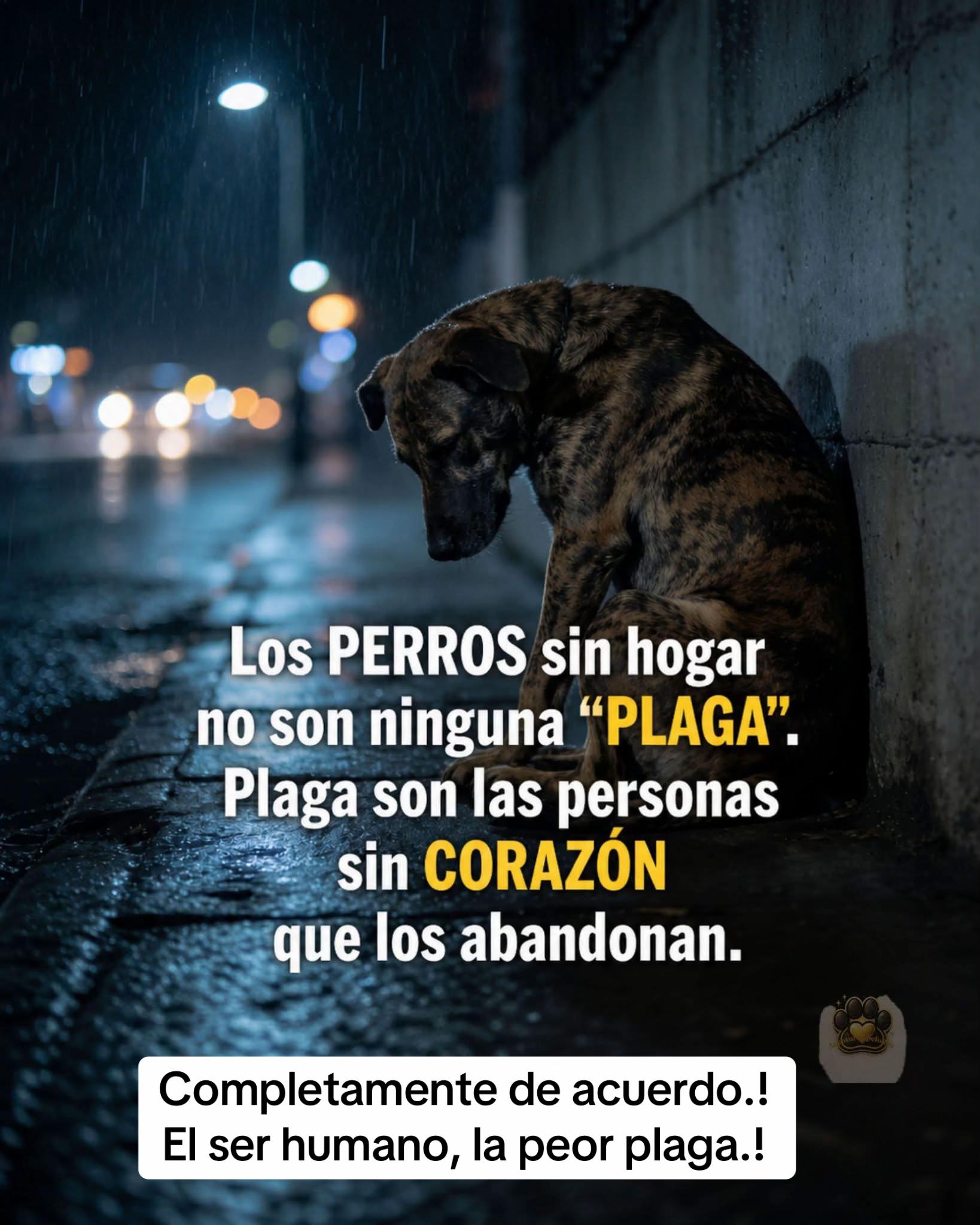 @Patricia Briceño