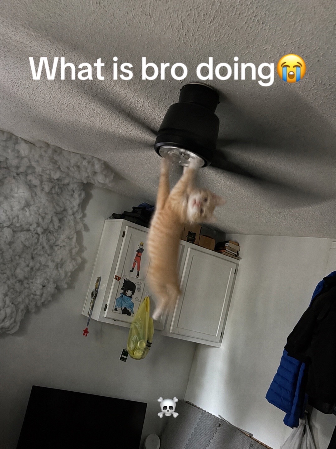 @843𝓝𝓸𝓿𝓪🔋