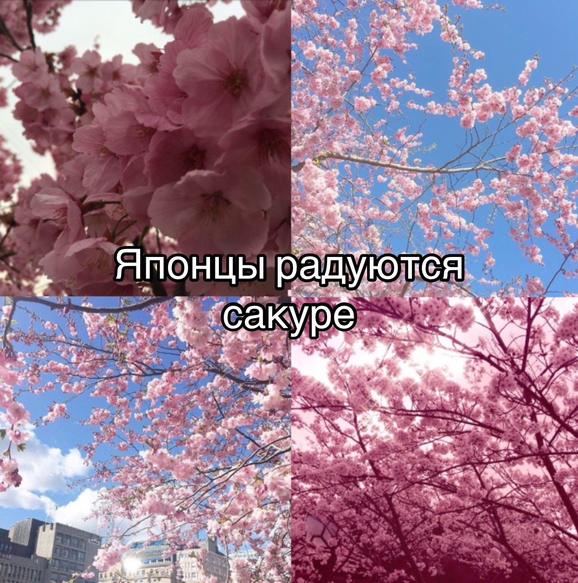 @похоть