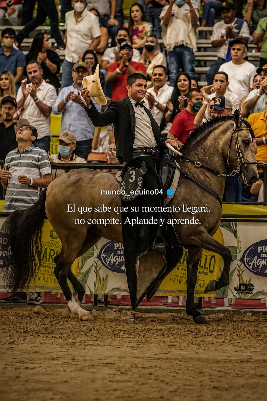 @mundo_equino04