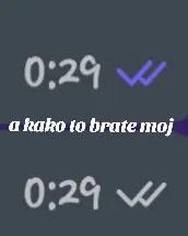 @nedimtopalovic7