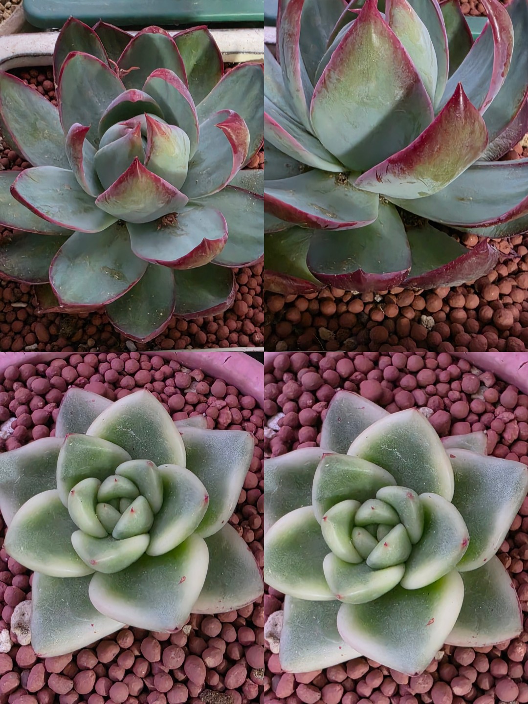 @이소희(오산)