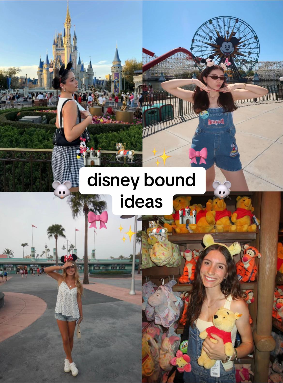 @2disneysisters