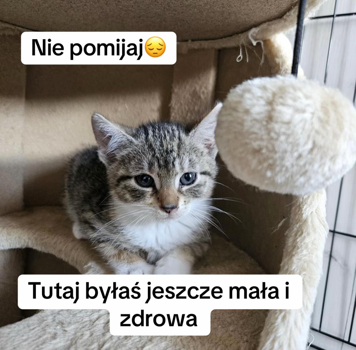 @Ratujemy
