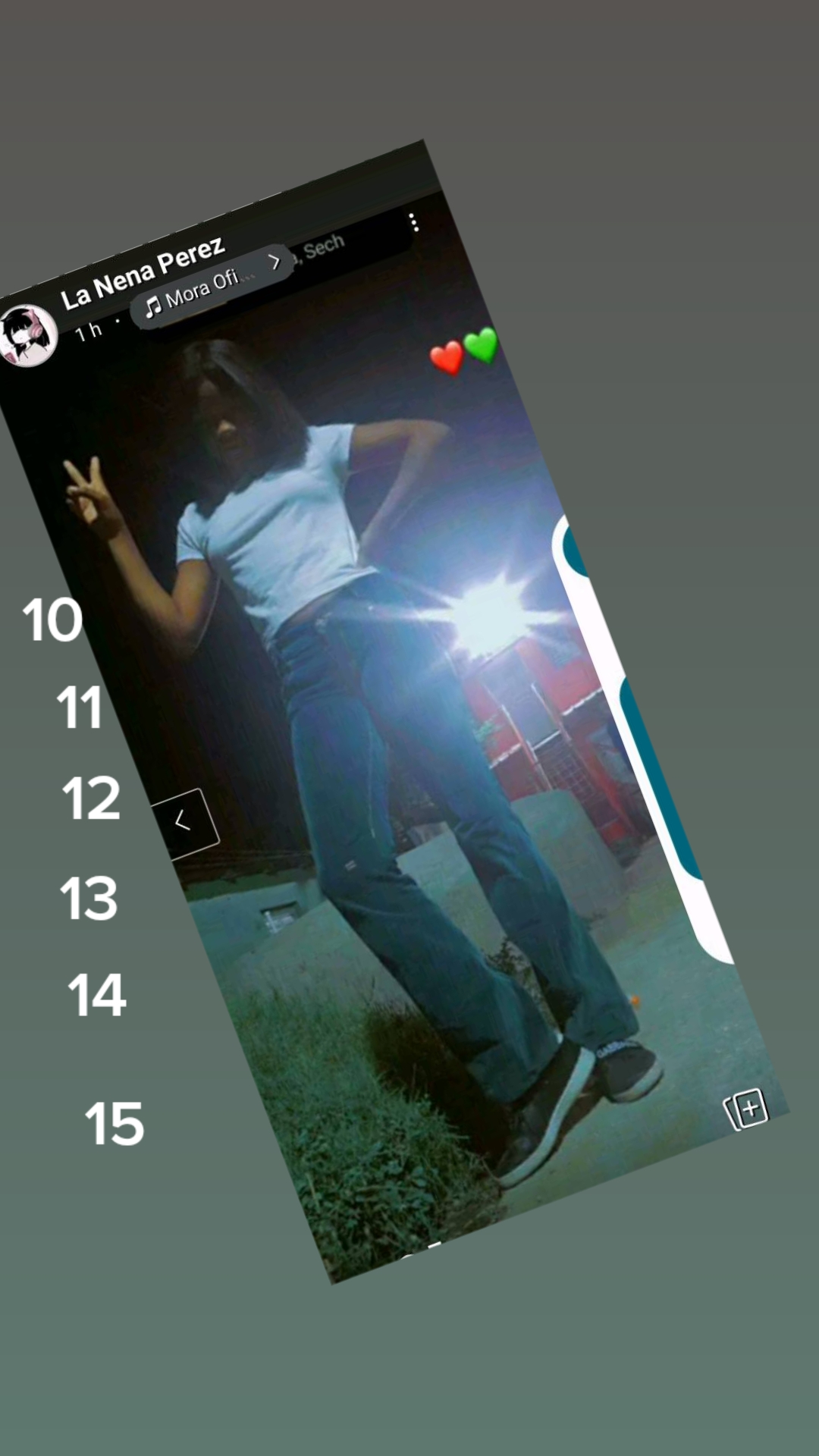 @ylaria