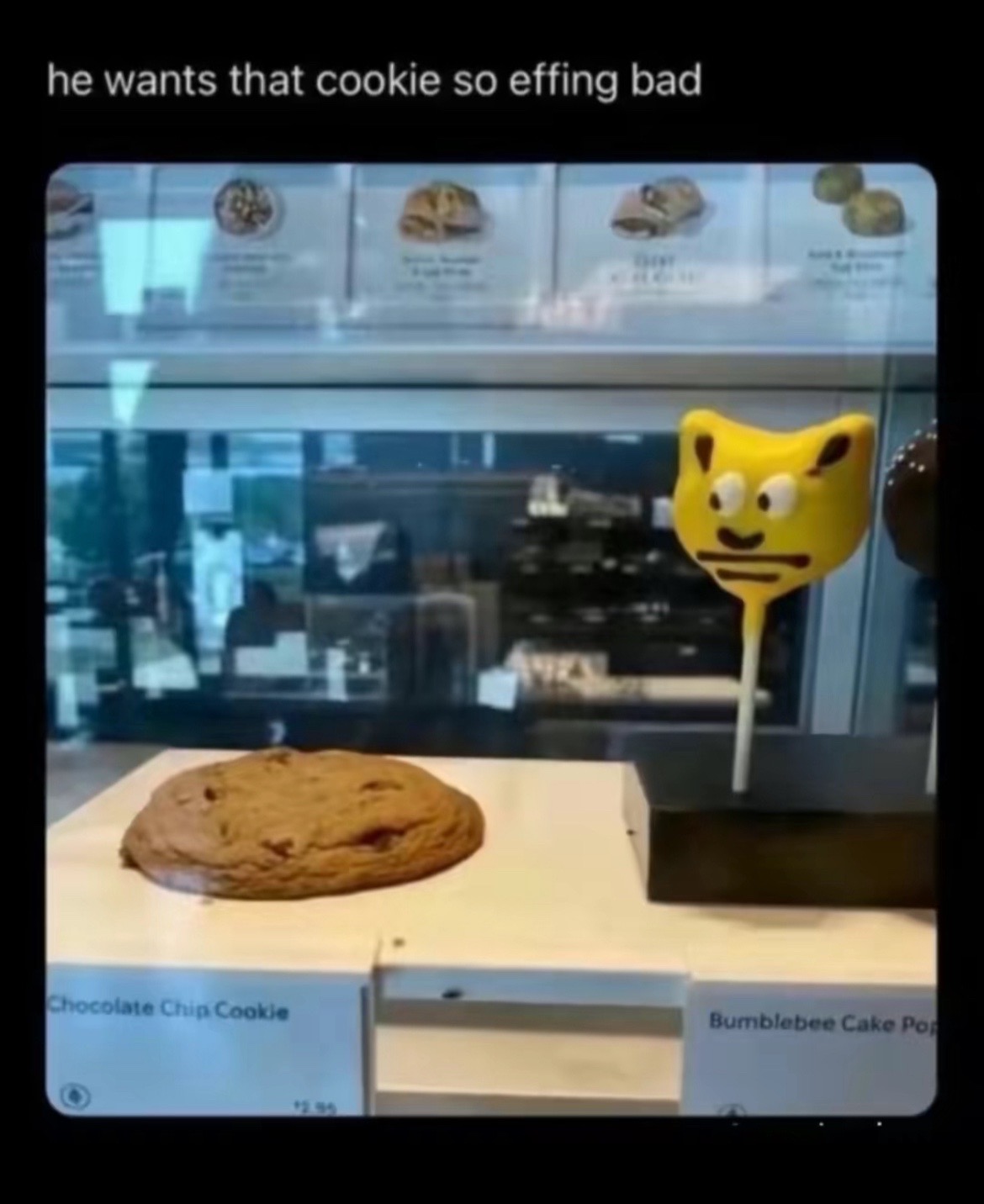 @(●´□`)♡