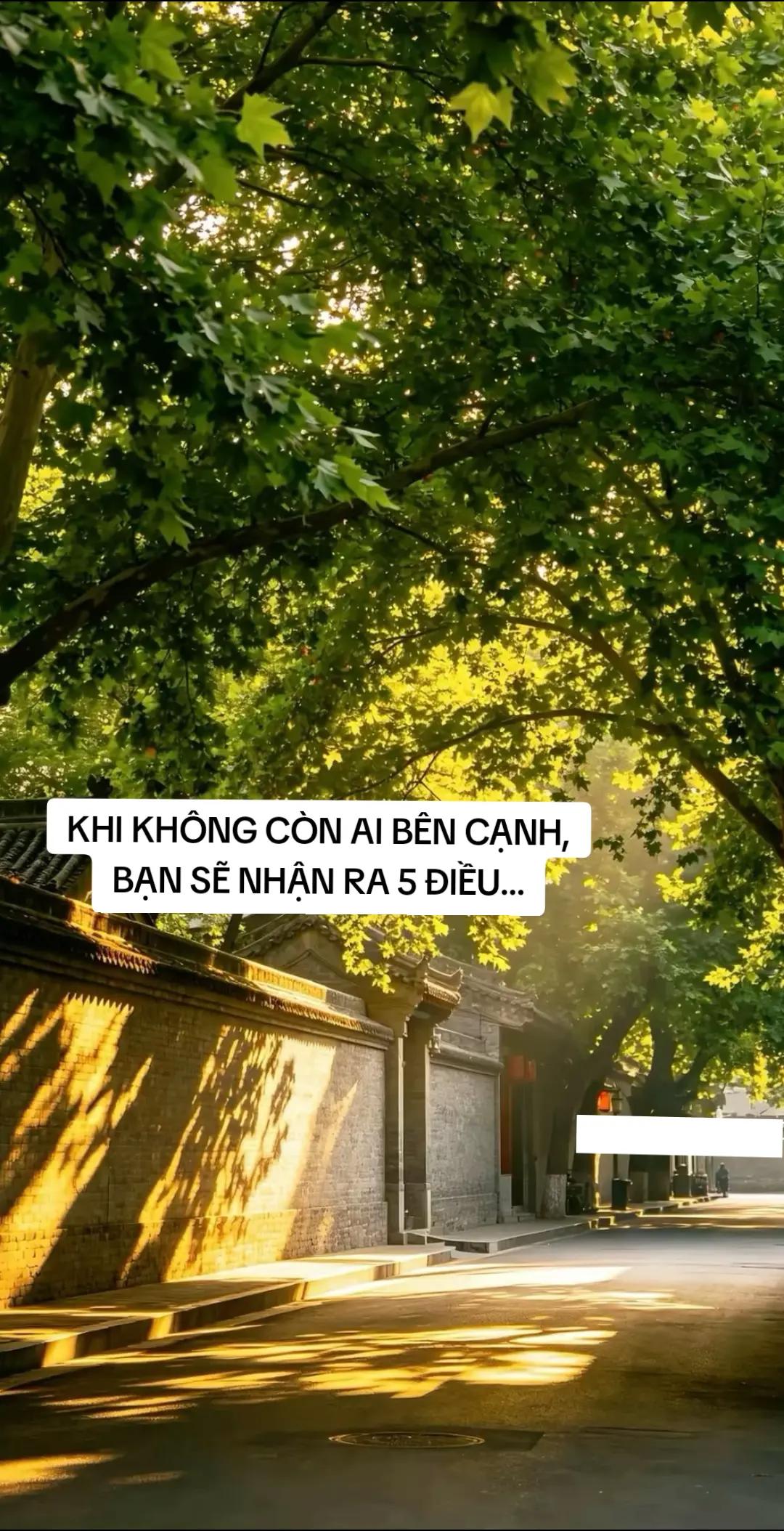 @Hồng Nguyệt