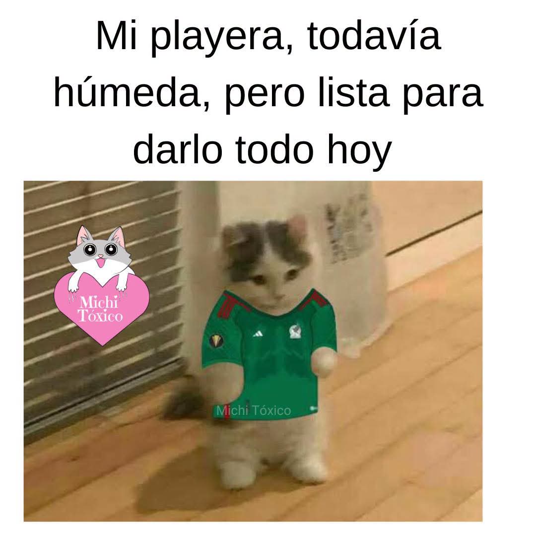 @Chapis