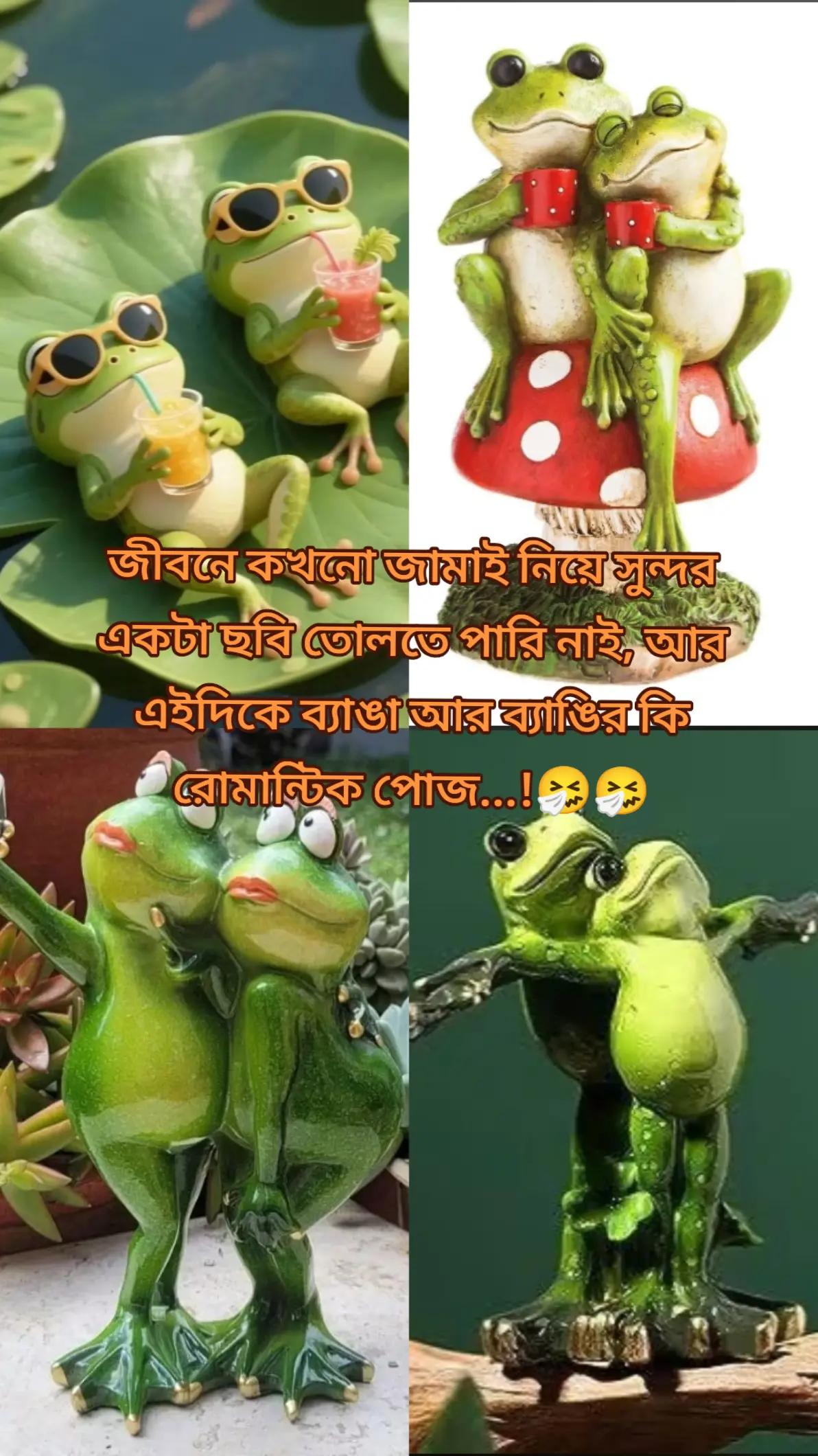 @🍁.🌿~সুবাসিনী ≈📝.📚