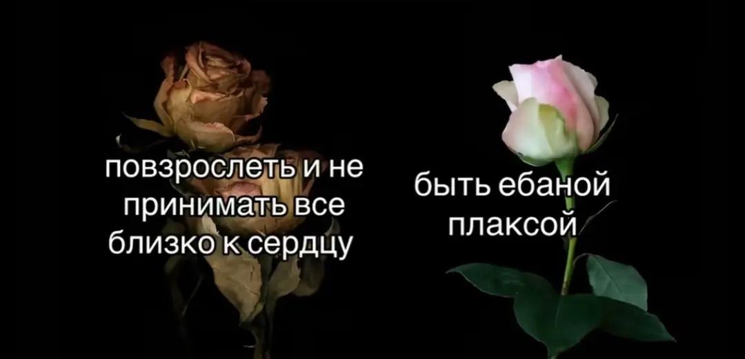 @анкулич