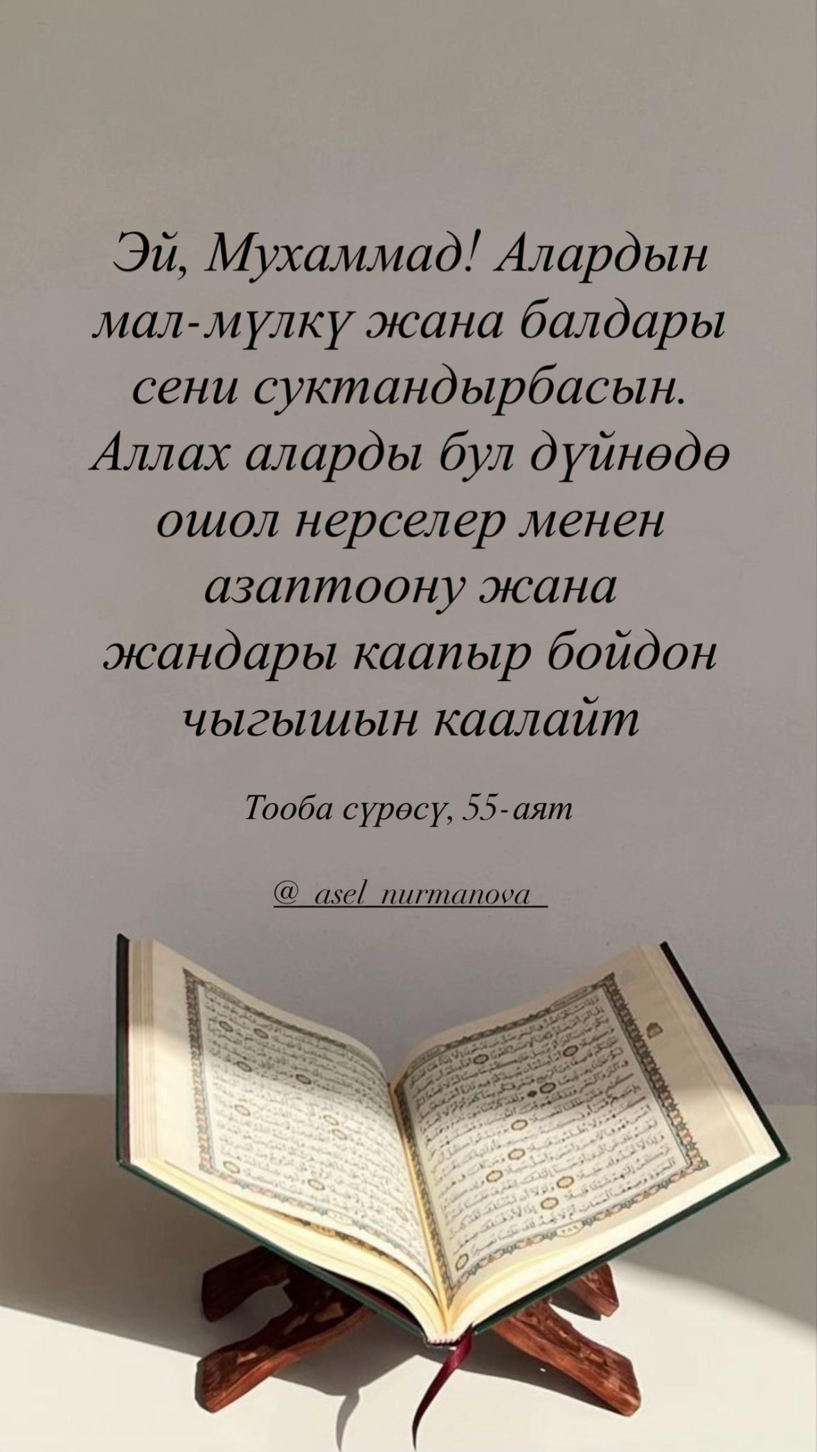 @_asel_nurmanova_