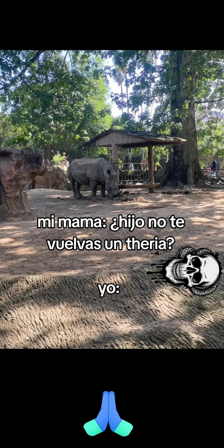 @ferchon