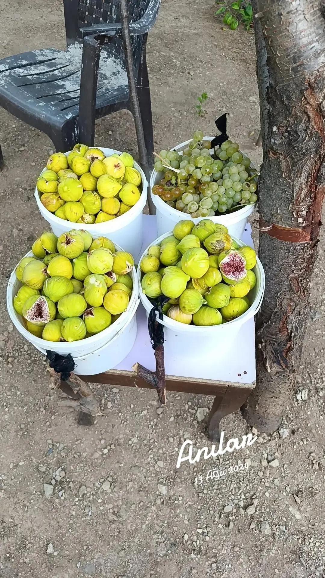 @Durdu G&uuml;rdal