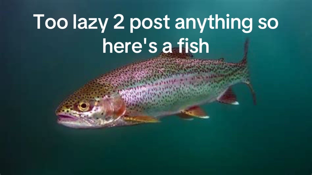 @Theinternetfish (⌒▽⌒)