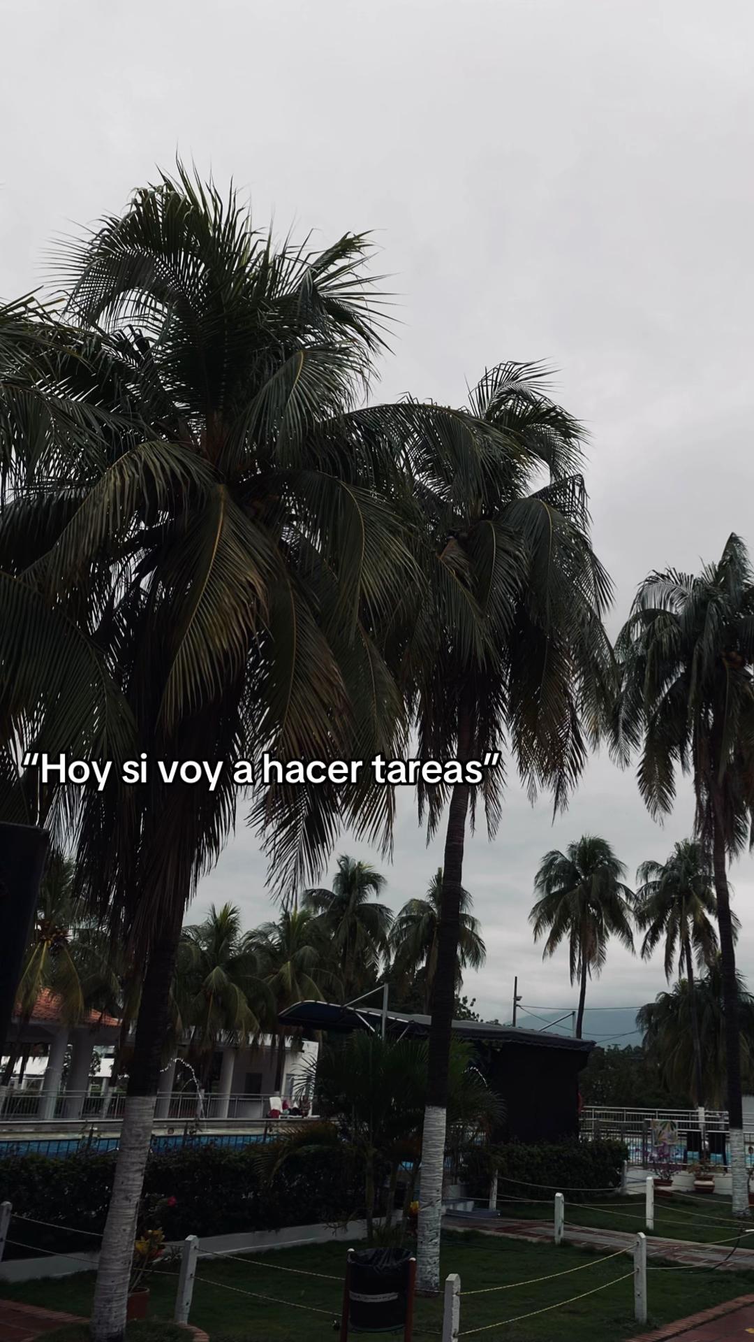 @𝑀𝒶𝓇𝒾