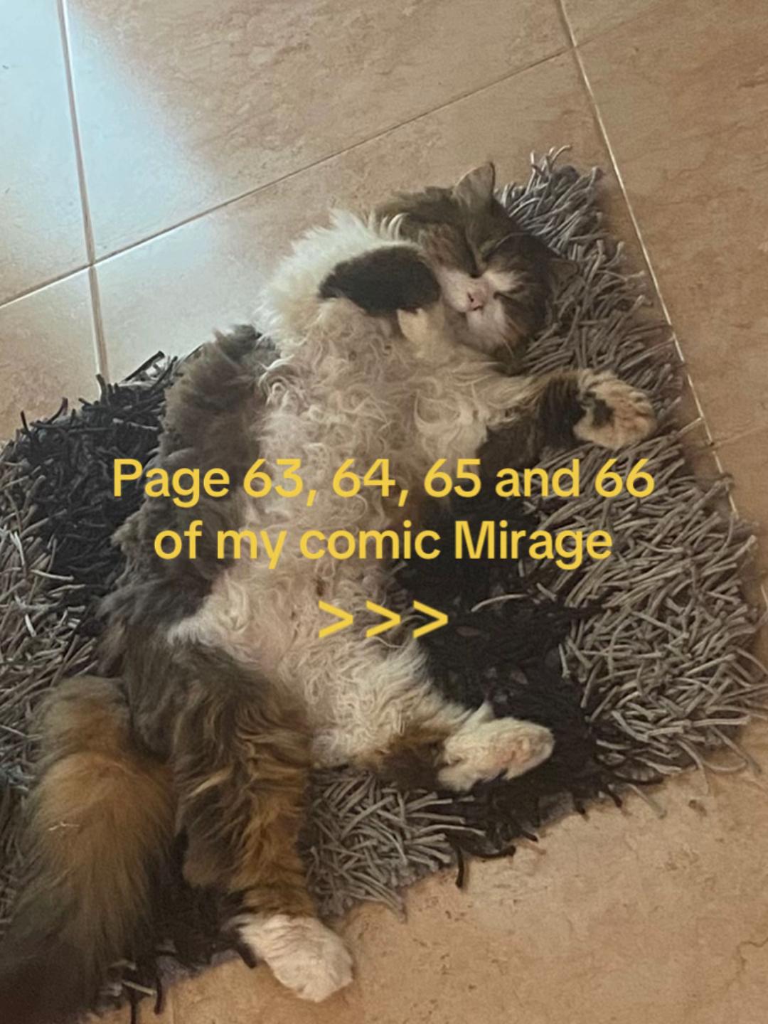 @Cattalents