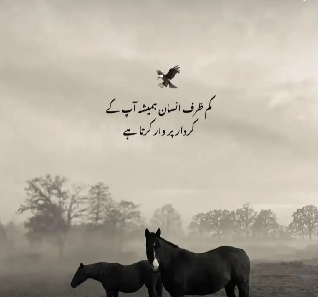 @😎 ملک کہتے ہیں 804 🦅