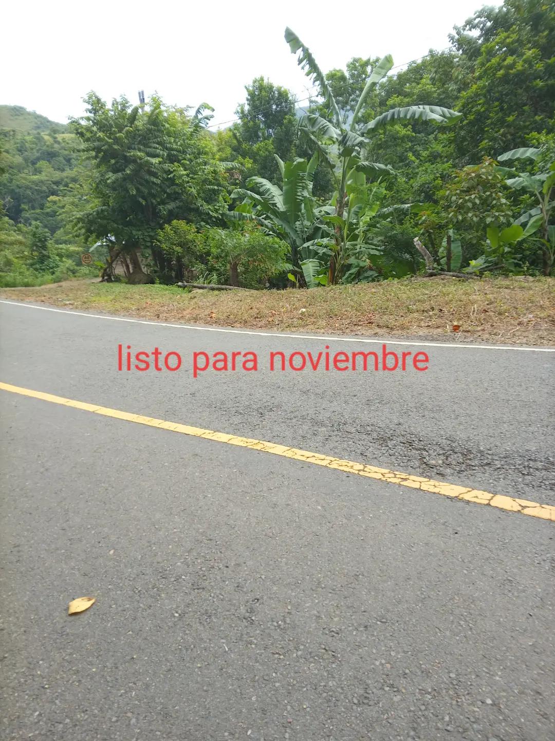 @nayelimntz