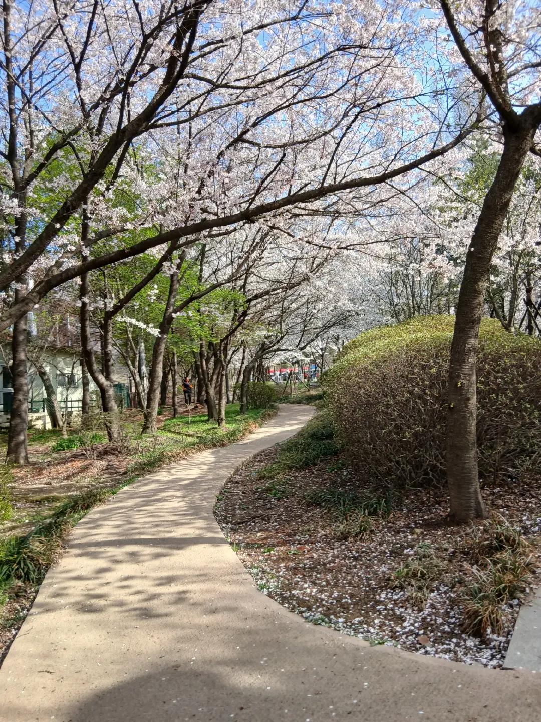 @강쥐