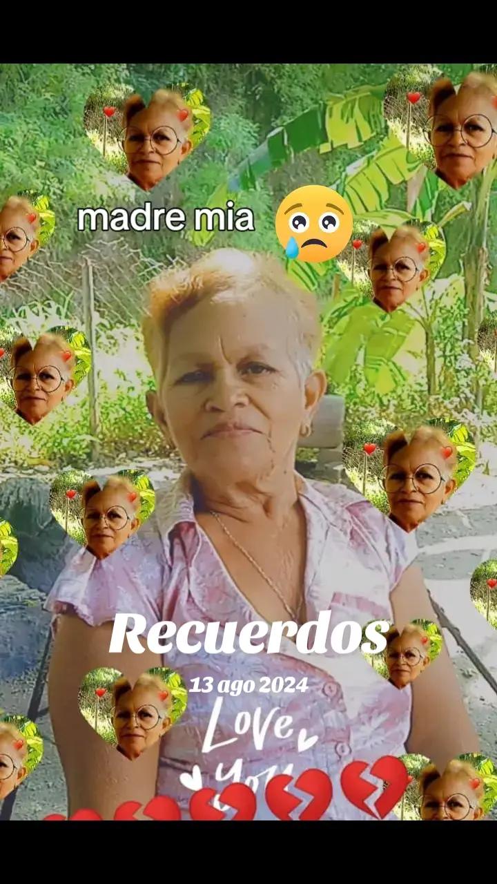 @moisés