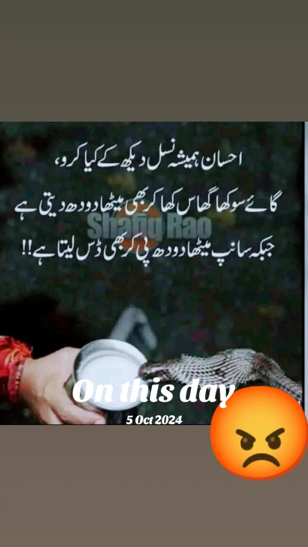 @Mubashir Sharif