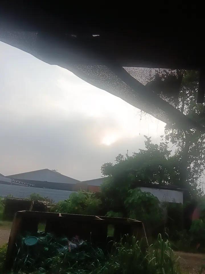 @Kali