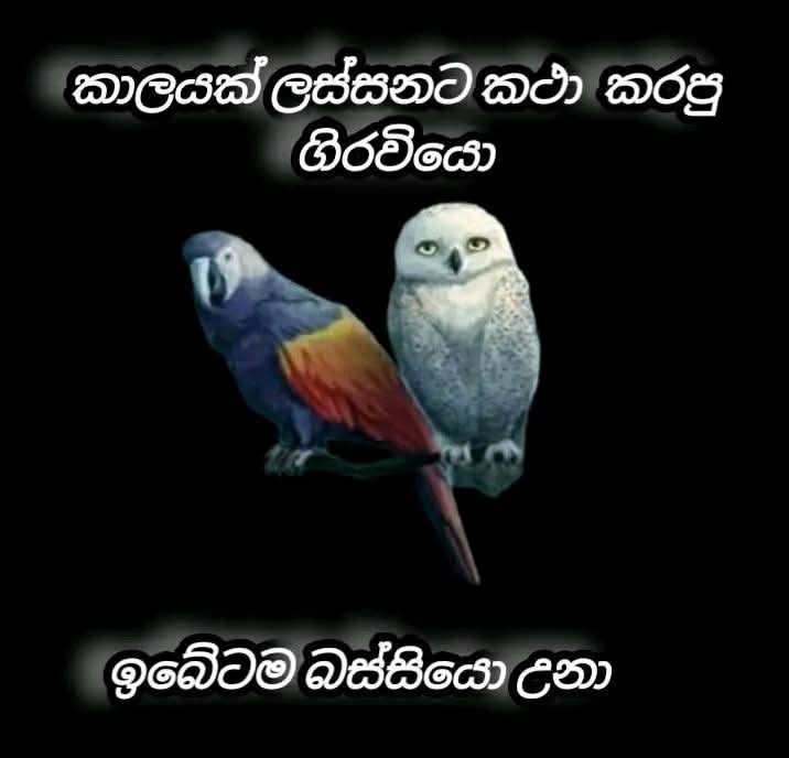 @prasanna