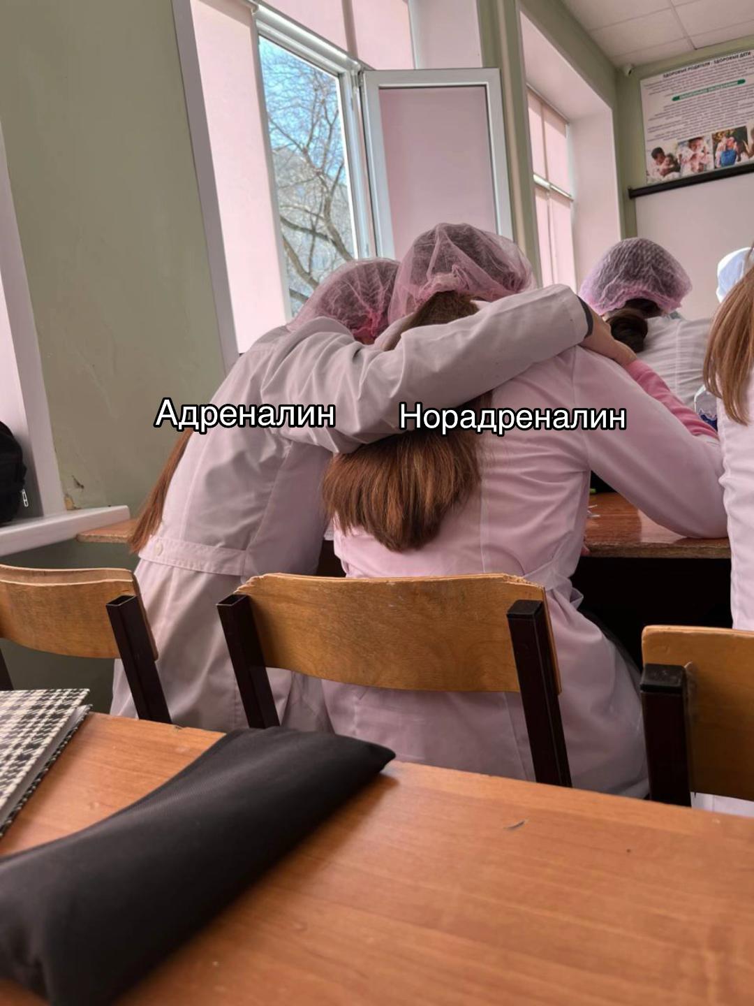 @di evdokova