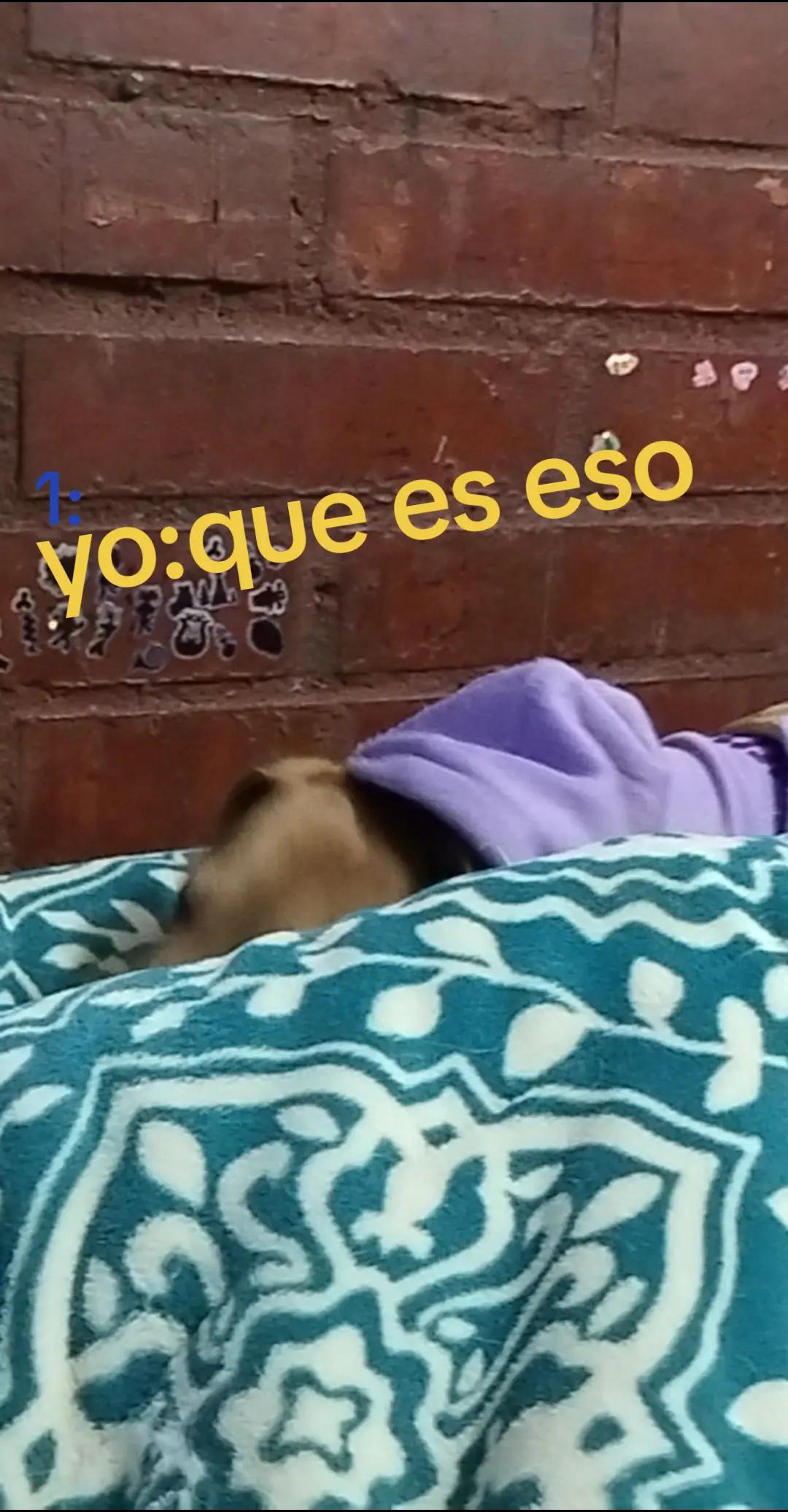 @pala
