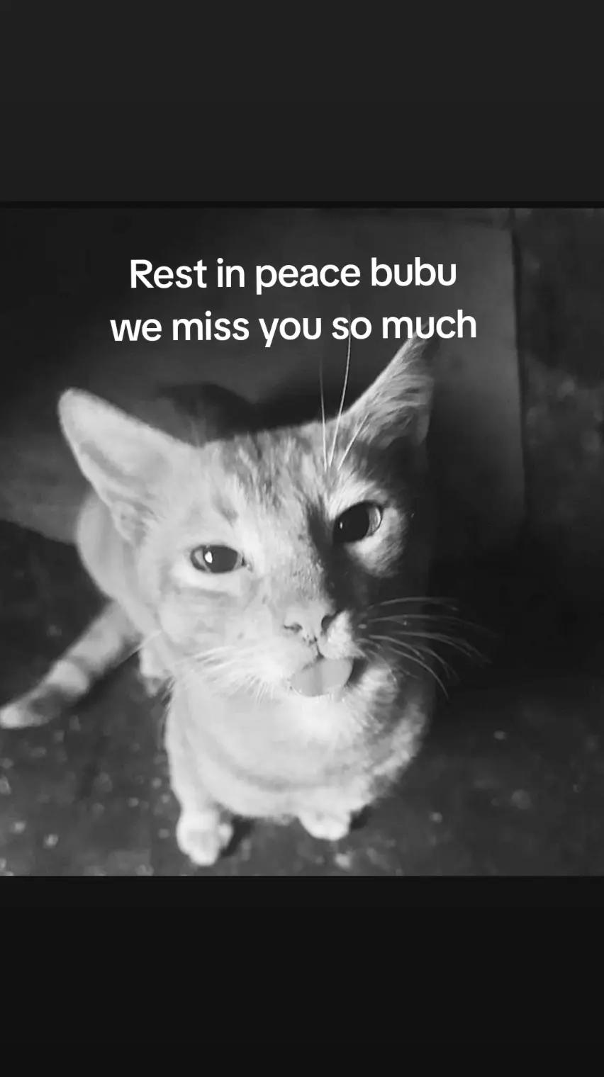 @Zeebeebub