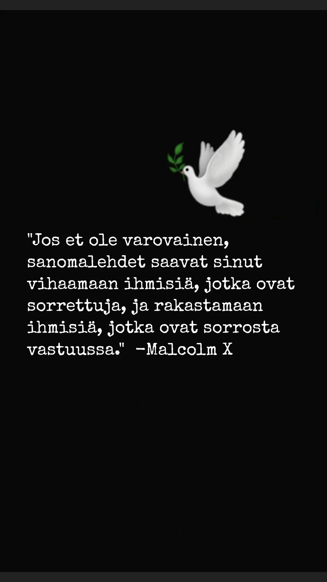 @matti🦋