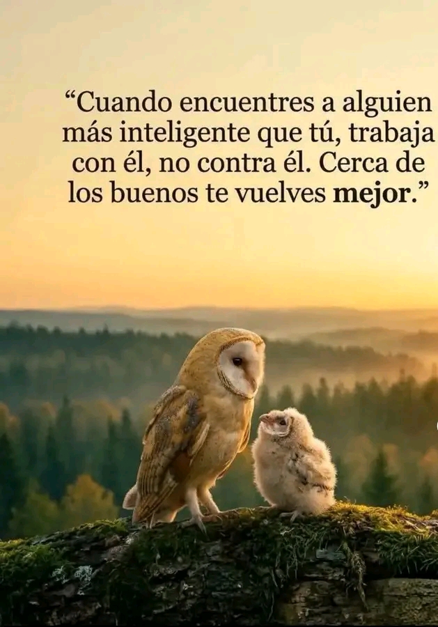 @Gaby Cordova