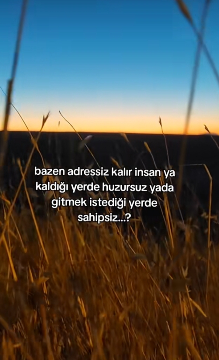 @sancar190516