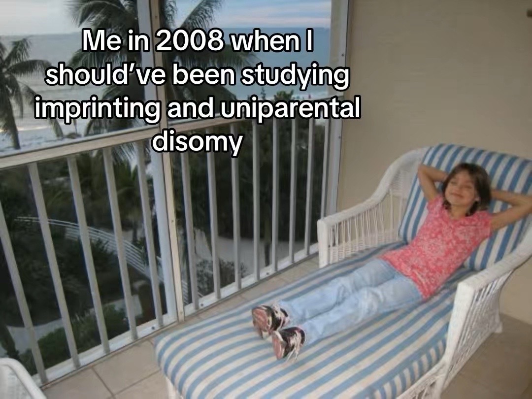 @gcstudentsav