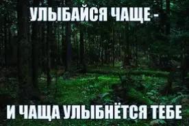 @ᛉхуйня леснаяᛉ
