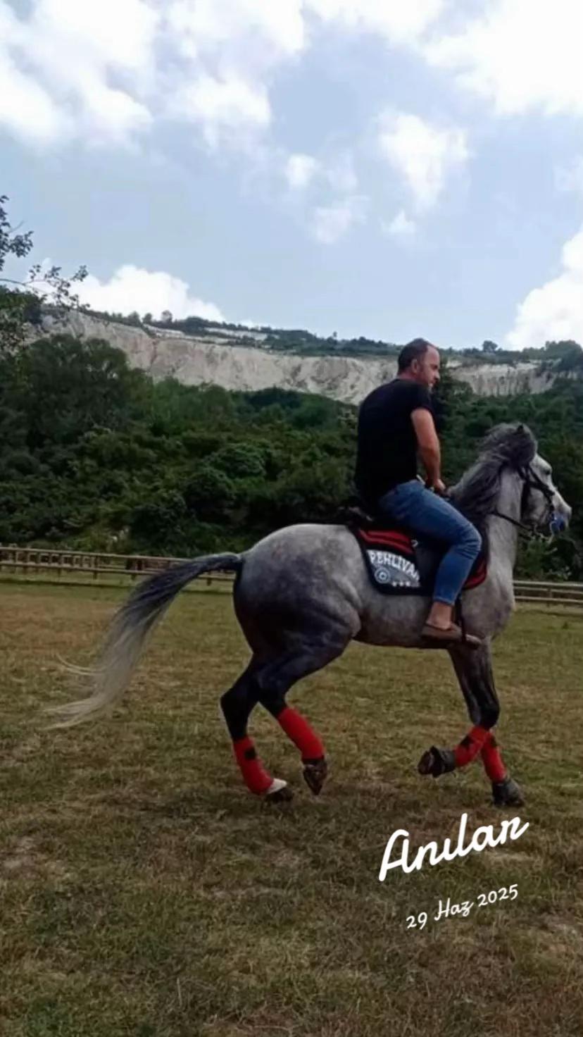 @Ali Kırcal