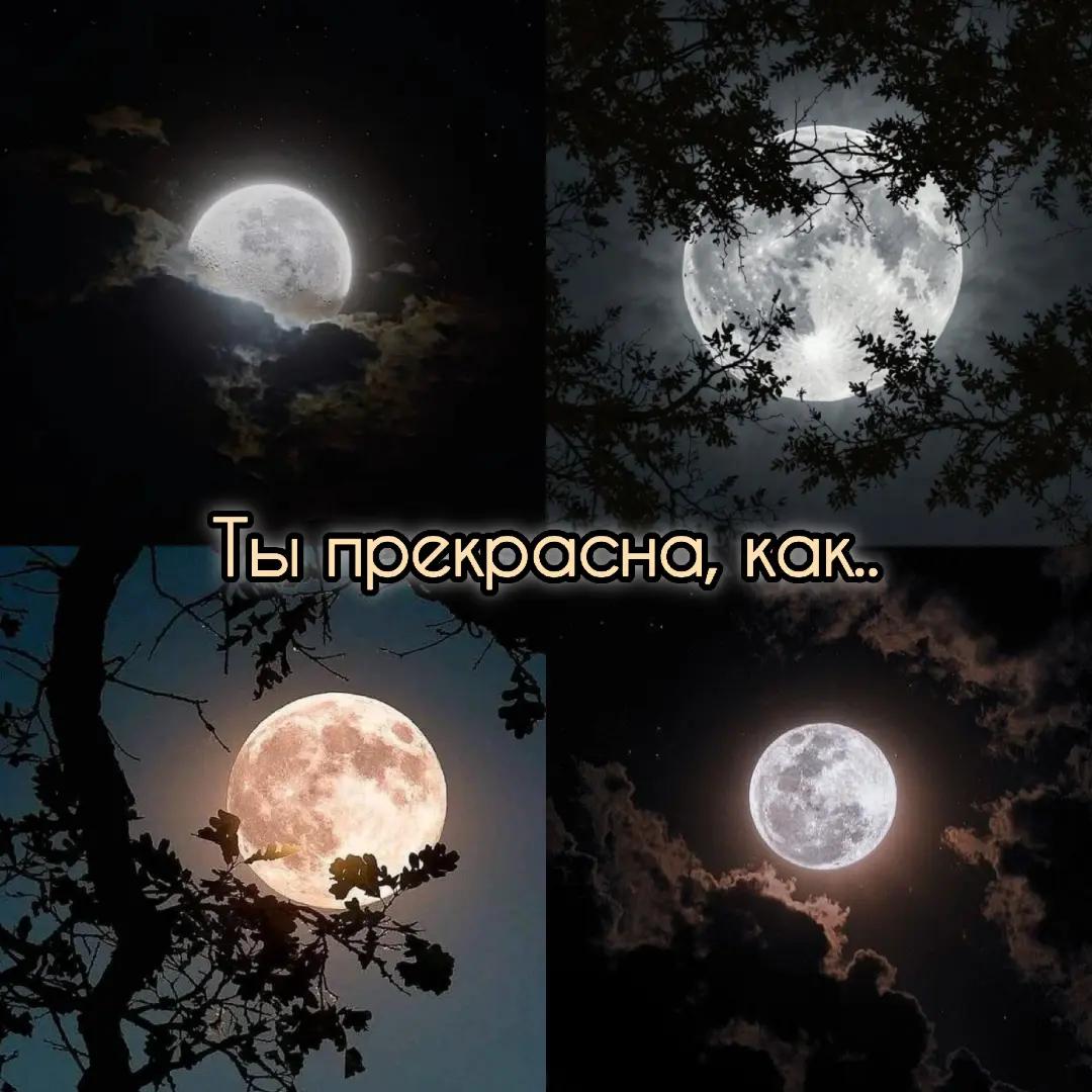 @𝓔𝓶𝓮𝓻𝓪𝓵𝓭_𝓣𝓮𝓪𝓻𝓼