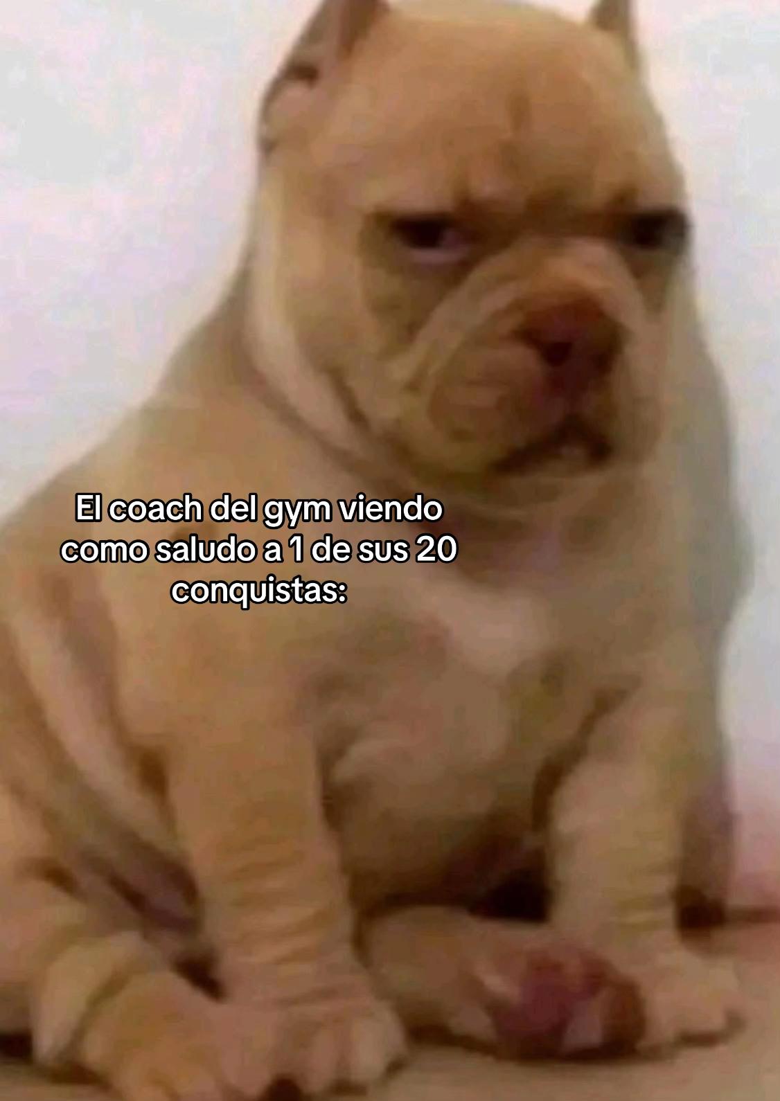 @Oso1819