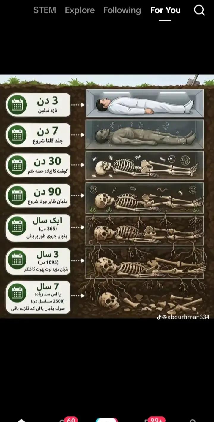 @Ahmed