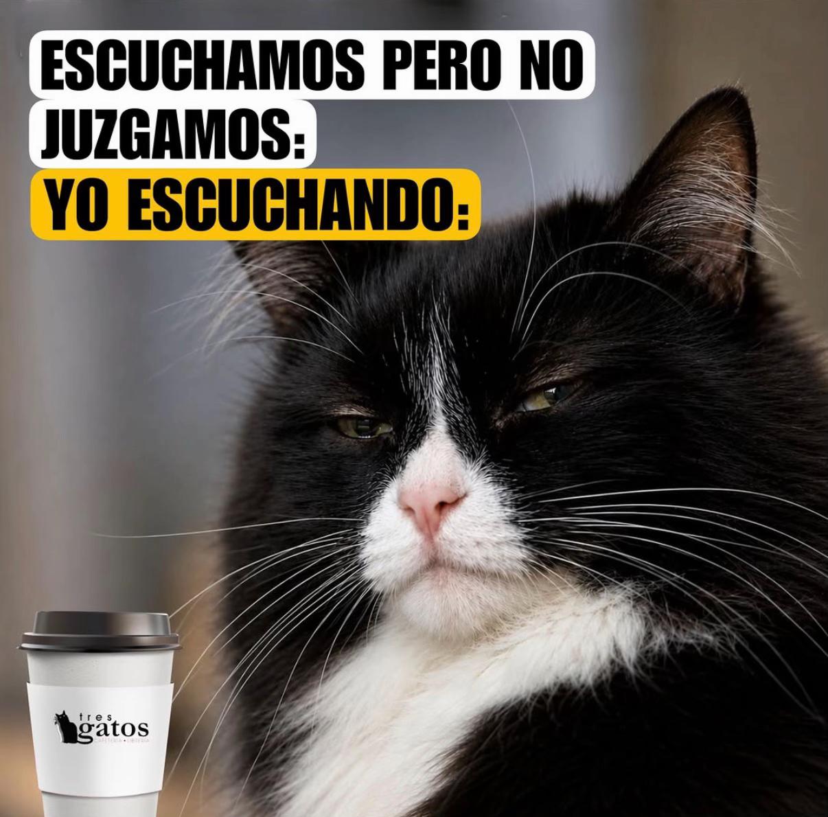 @nancy.lu.mexico. CDT