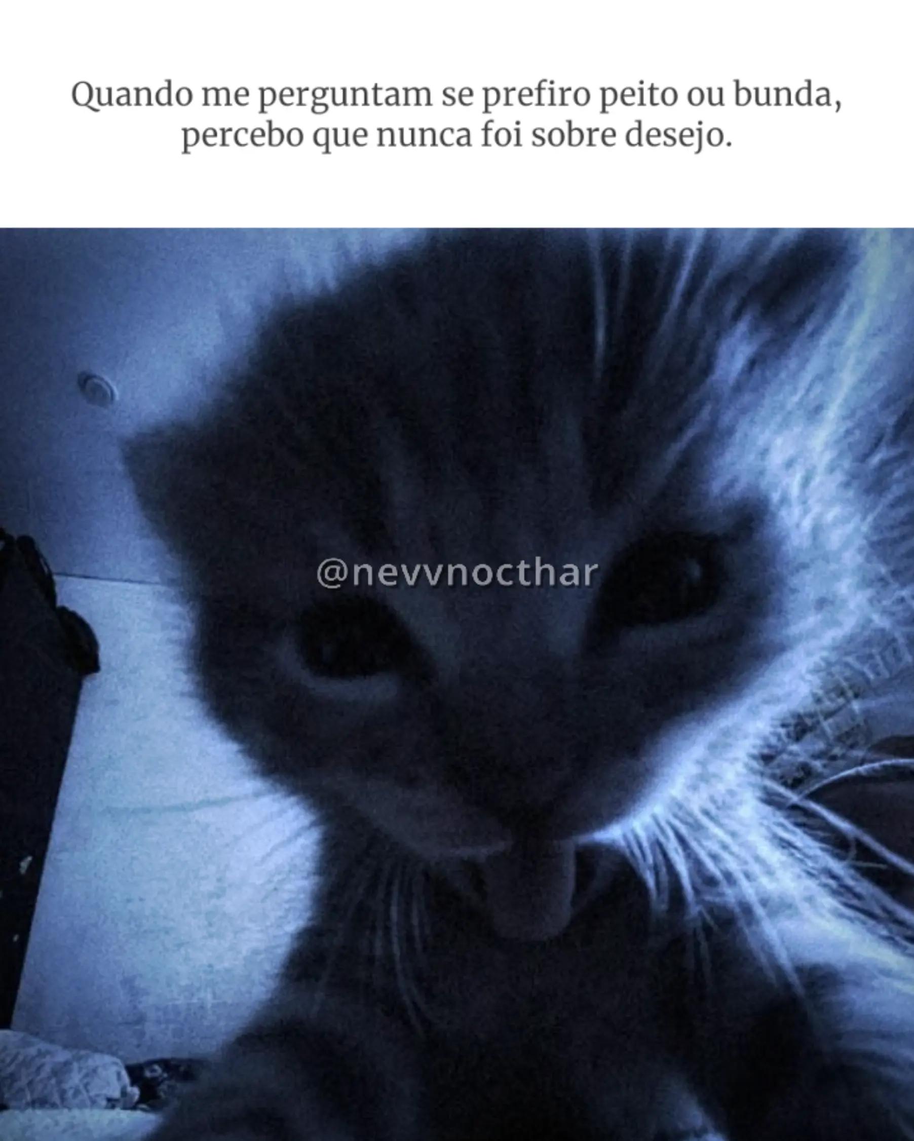 @𝙉𝙚𝙫𝙫