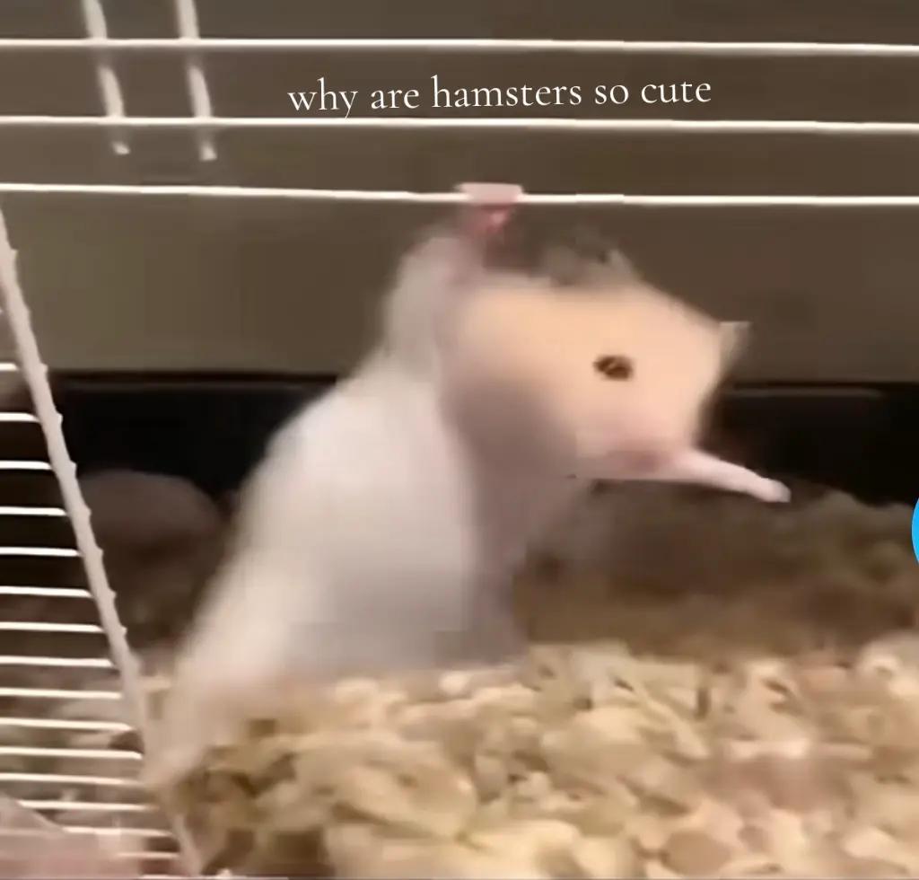 @R7
