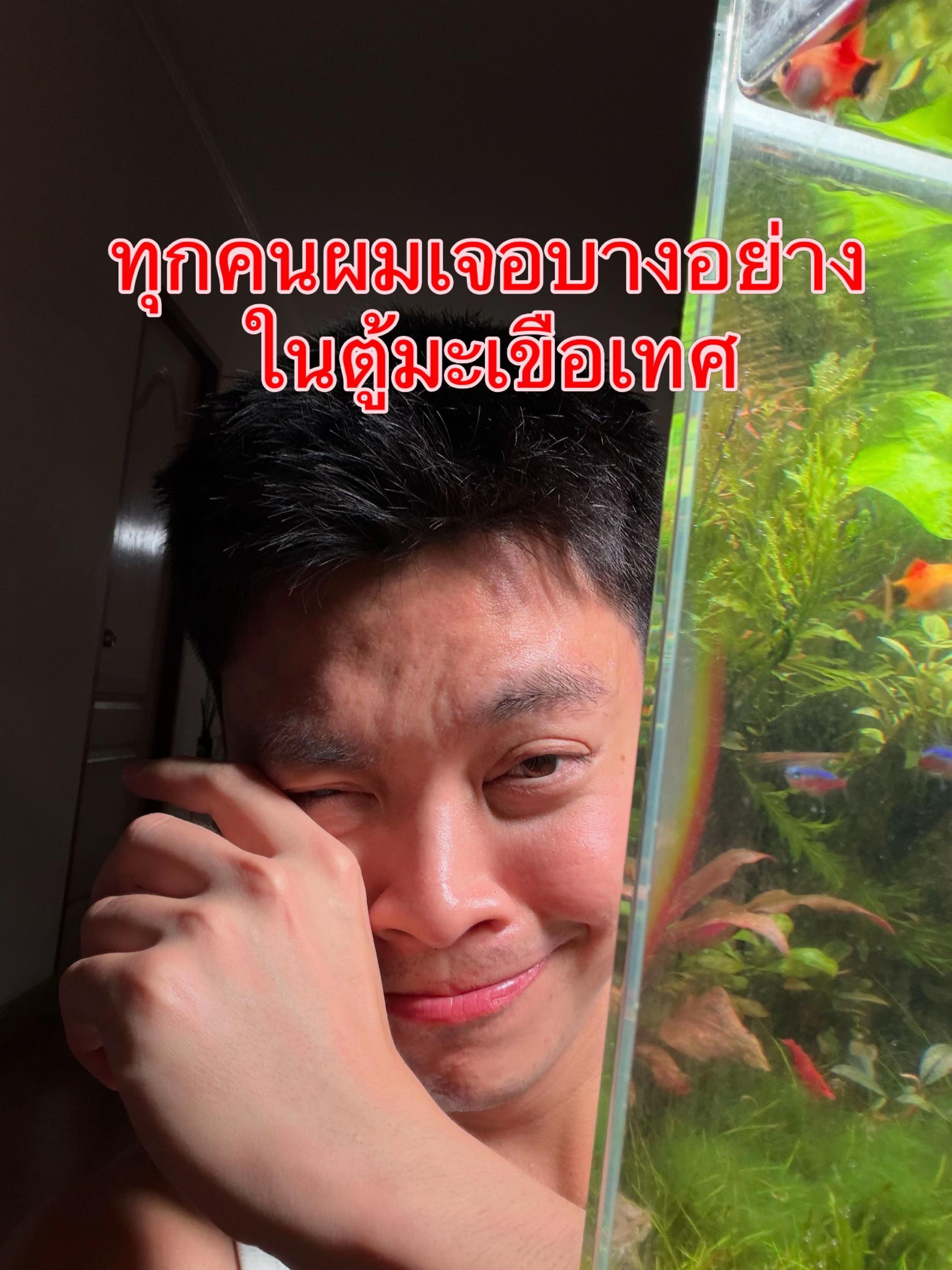 @Kongwpm