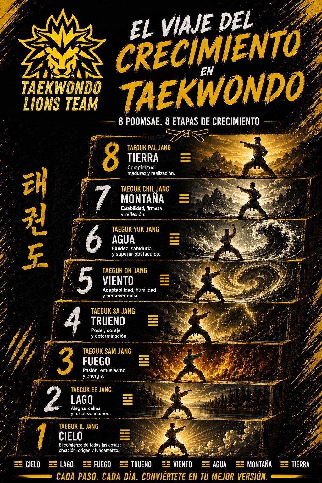 @taekwondolionsteam